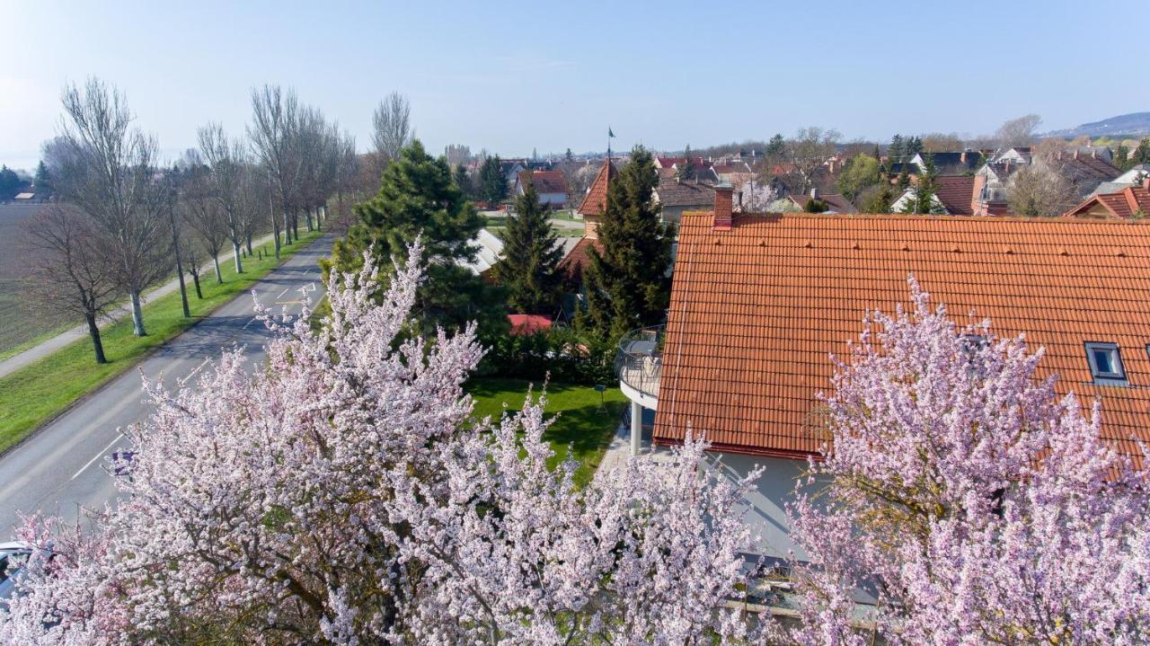 Tulipán vendégház Orvenyes Esterno foto